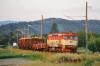 ČD Cargo 751.141, Postřelmov, 25. 5. 2009, foto: Louis Armstrong