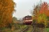 831.217-5, Kdyně, foto: Láďa Mlynařík