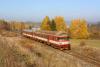 80-29.209-1 + 854.202-9, Stará Paka - Nová Paka město, foto: Chary