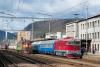Předvedení lokomotivy, foto: Dennis Hűbsch