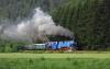 477.043 + 477.013, Nedvědice - Doubravník, foto: topič