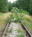Most pár metrů za místem v Přibyslavi, kde lokomotivy objížděly soupravy výletních vlaků, 23. června 2007, foto: Vojtěch Beran