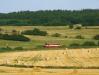 810.009, Třemešná ve Slezsku - Jindřichov ve Slezsku, foto: Payus