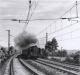 radebeul181, foto: zds